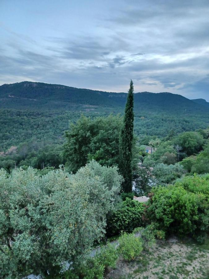 Le Logis De Saint-Antoine 호텔 Bagnols-en-Forêt 외부 사진
